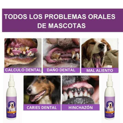 HappyPets™ Elimina el mal aliento y daños dentales de tu peludo